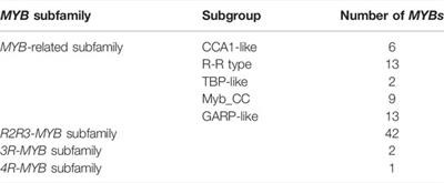 Identification and Analysis of MYB Gene Family for Discovering Potential Regulators Responding to Abiotic Stresses in Curcuma wenyujin